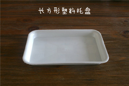 白牡丹叶插几天发芽