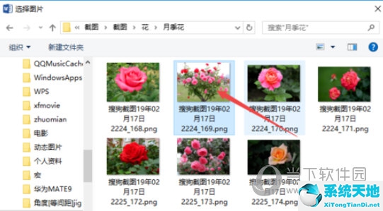 word中背景图片怎么设置(word中背景怎么设置图片)