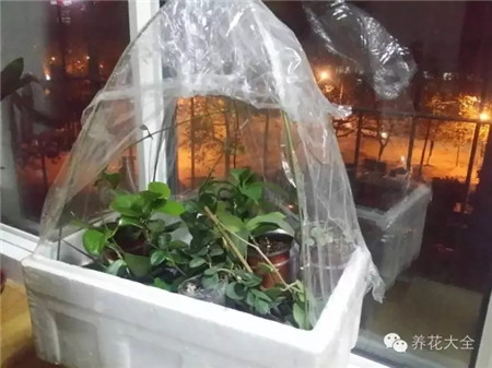 陪你度过漫长岁月歌词