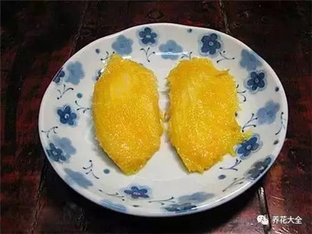山竹和芒果哪个有营养