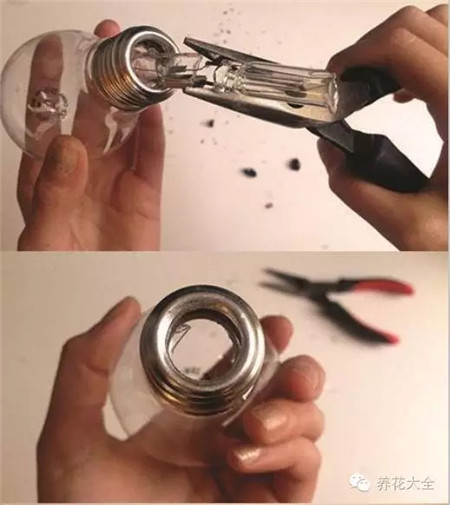 养花的办法