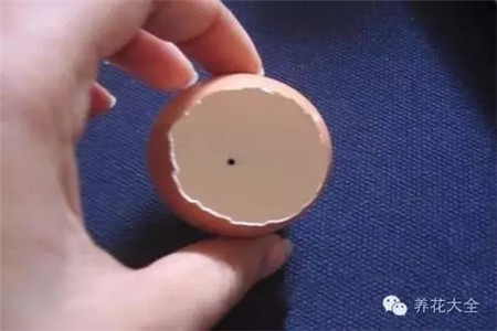 养花的办法