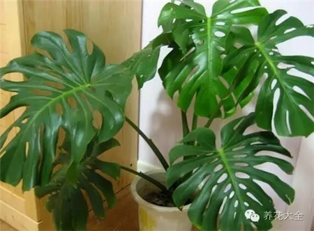 陪你度过漫长岁月歌词