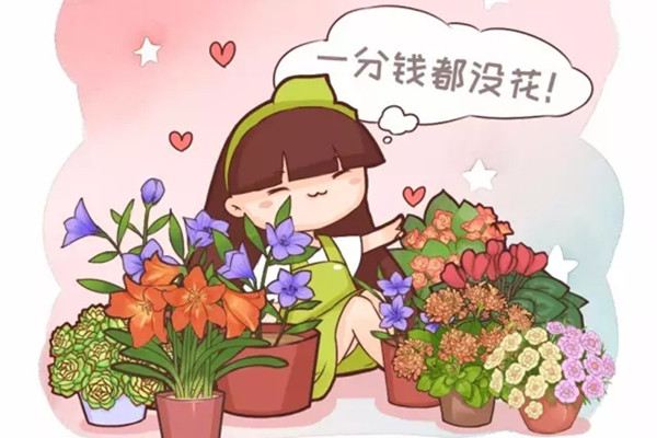 这样养花1分钱都不花服了(养花的办法)