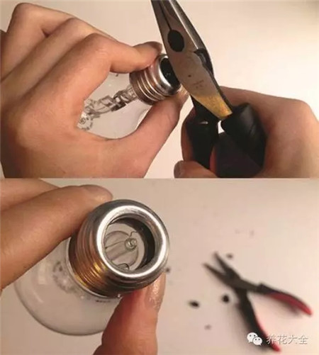 养花的办法