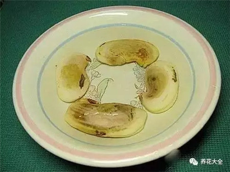 山竹和芒果哪个有营养