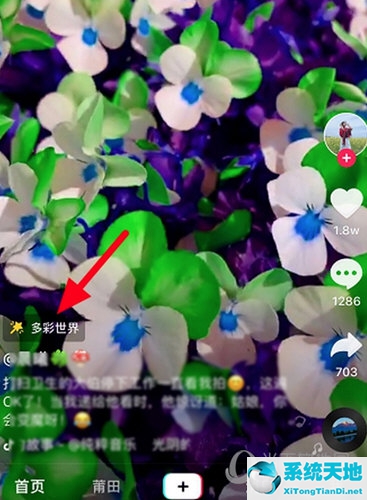 多彩世界舞蹈视频(多彩世界下载链接)