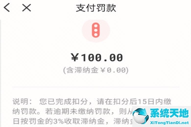怎么在云闪付上交罚款(云闪付如何交违章罚款?)