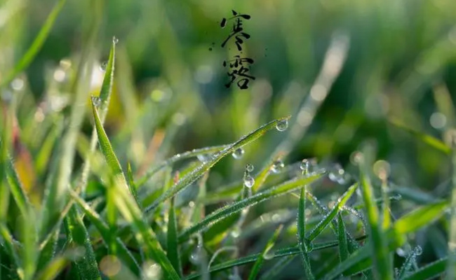 寒露节气的养生和饮食