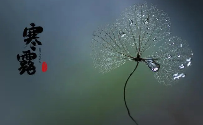​寒露节气怎么养生寒露节气是几月几日(寒露节气的养生和饮食)