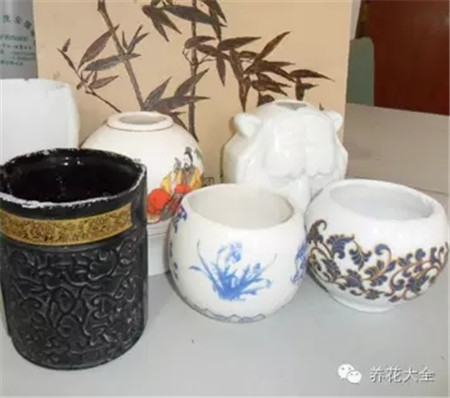 教你一些养花的小技巧