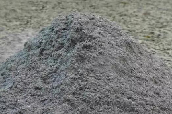 盆里撒把灰蚊虫全跑光一天蹿出10个芽盆都撑爆了！(灰蚊症是什么)