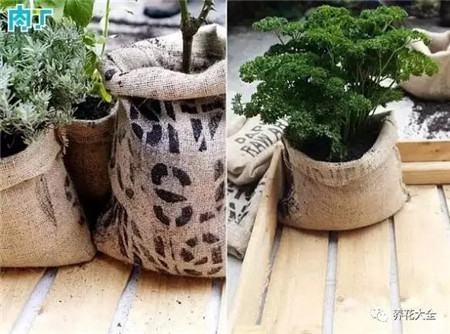 有什么可以做花盆