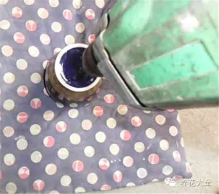 教你一些养花的小技巧
