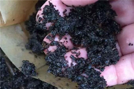渣渣辉我的世界
