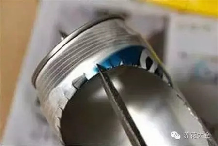 教你一些养花的小技巧