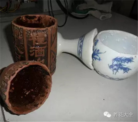 教你一些养花的小技巧