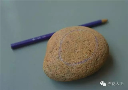 教你一些养花的小技巧