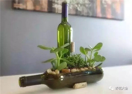 有什么可以做花盆