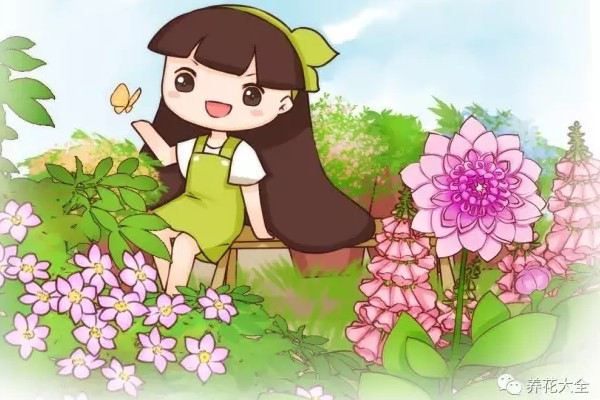 6种爬藤花种上就能收获1面花墙！(十大爬藤的花)