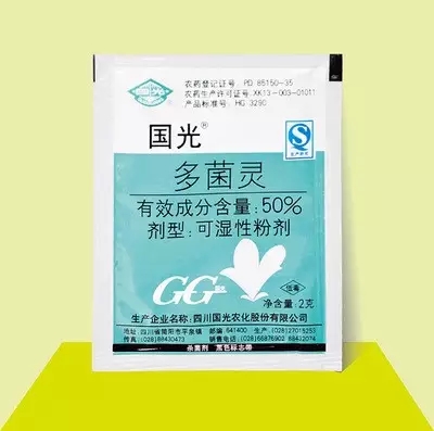 吊兰怎么扦插?