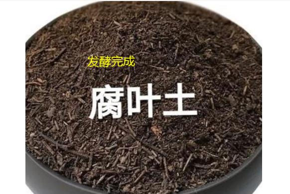 种花 底肥
