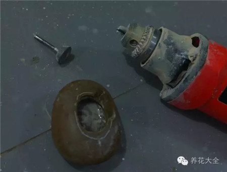 教你一些养花的小技巧