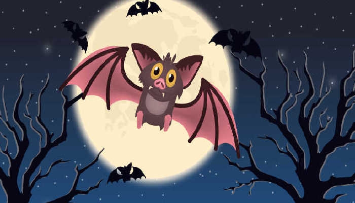 蝙蝠为什么能在夜里飞行?