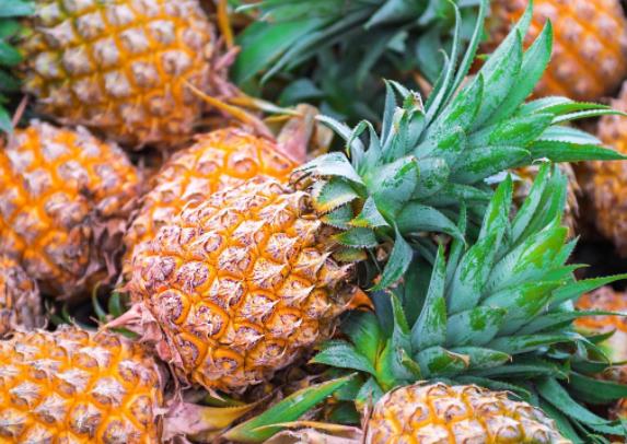 甜瓜可以和菠萝蜜一起吃吗