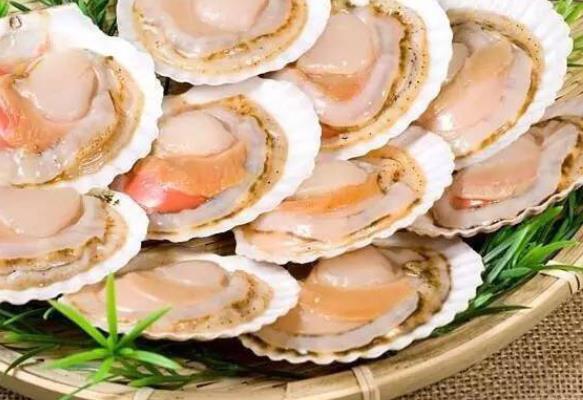 扇贝和什么一起吃比较好