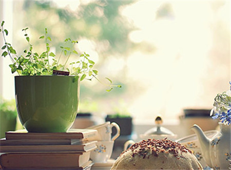 养花秋天可以施肥吗