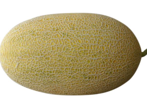 哈密瓜有酒味是坏了吗