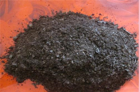 兰花用什么土栽培最好兰花用盆