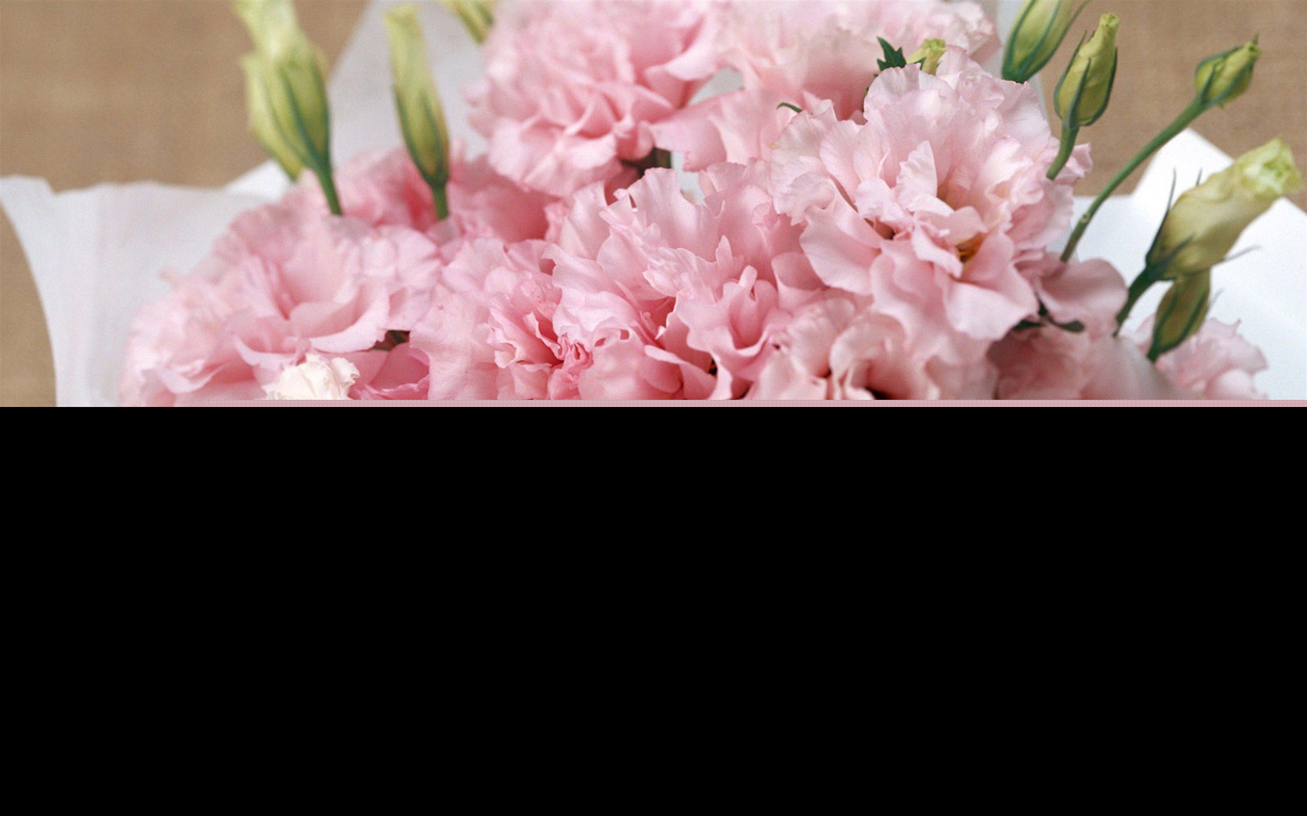 去医院看望病人送什么花比较好