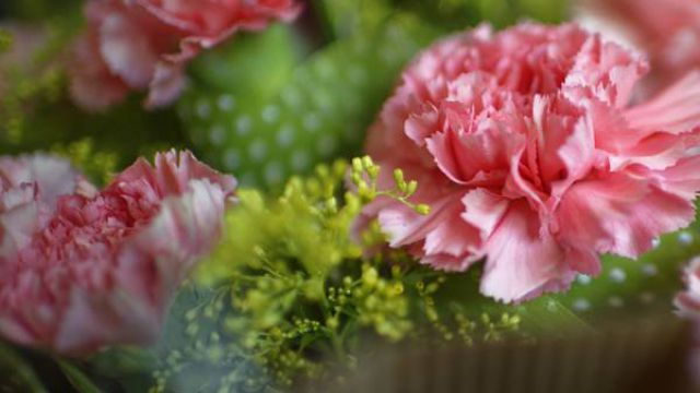 看望病人送什么花好(去医院看望病人送什么花比较好)