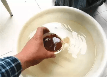 路边的树根能捡吗