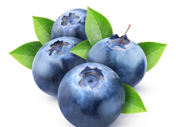 每天吃多少蓝莓能让视力恢复