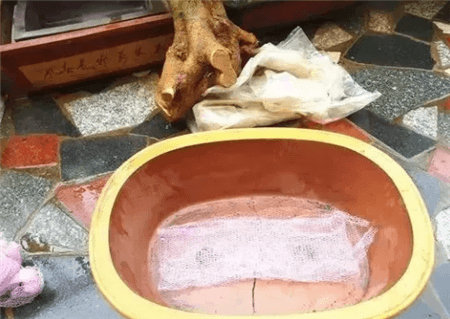 路边的树根能捡吗