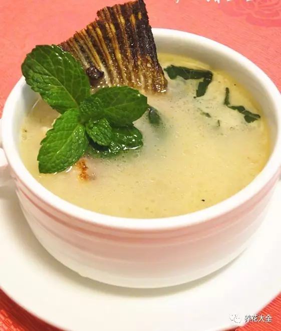 夏天哪些花好养