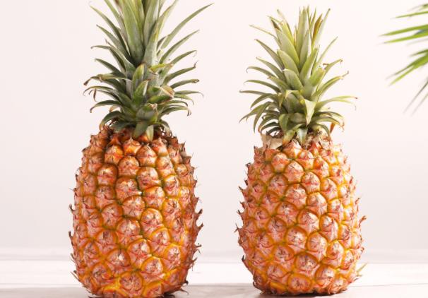 泡菠萝用热水还是冷水泡菠萝需要放糖吗(泡菠萝用生水还是熟水)