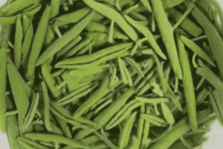 莼菜的养殖方法和注意事项有哪些