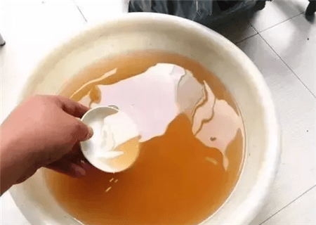 路边的树根能捡吗