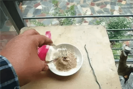 路边的树根能捡吗