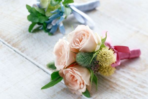 去医院看望病人送什么花比较好