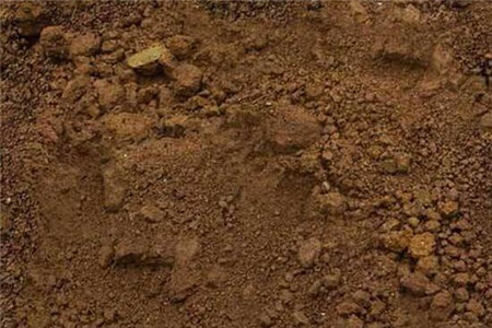 兰花用什么土栽培最好兰花用盆