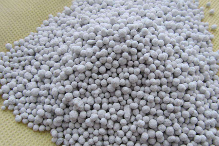 红梅盆栽养殖方法和技术