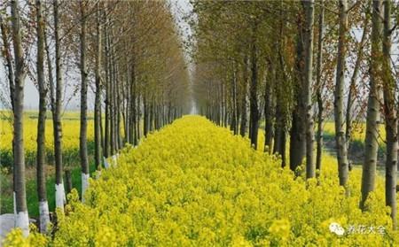 教育部减负三十条全文