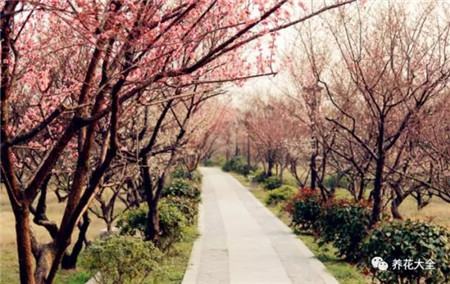 教育部减负三十条全文