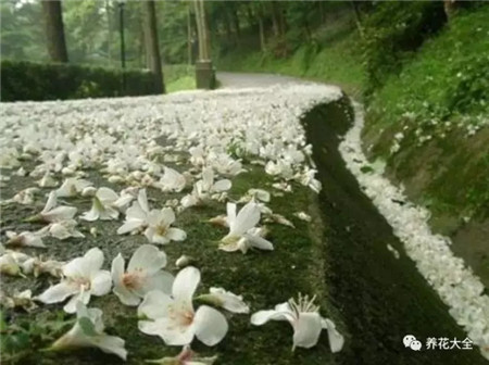 教育部减负三十条全文