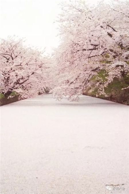 教育部减负三十条全文